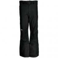 Горнолыжные брюки , карманы, размер 58, черный Schoffel