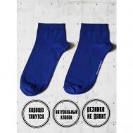 Носки , размер 41-45, синий snugsocks