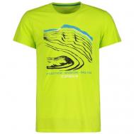 Беговая футболка  Borgen, силуэт прямой, влагоотводящий материал, размер 48, зеленый Icepeak