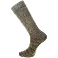 Мужские носки , 1 пара, размер UNICA, зеленый Lui