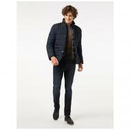 Куртка , мужская, демисезон/зима, силуэт прямой, карманы, ветрозащитная, размер 54, синий Pierre Cardin