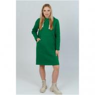 Платье-толстовка , хлопок, в спортивном стиле, свободный силуэт, карманы, размер 46, зеленый 365