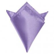 Нагрудный платок , однотонный, для мужчин, фиолетовый 2BEMAN