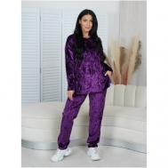 Комплект , брюки, свитшот, длинный рукав, трикотажная, пояс на резинке, карманы, размер 44, фиолетовый lovetex.store