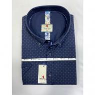 Рубашка , размер 9XL(76), синий CASTELLI