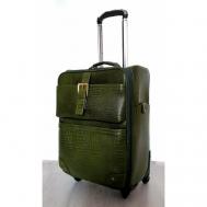 Умный чемодан , натуральная кожа, 40 л, зеленый Black Buffalo Bags