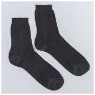 Мужские носки , 1 пара, классические, размер 27, черный Pilot