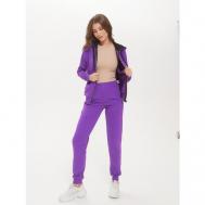 Костюм , толстовка и брюки, спортивный стиль, прямой силуэт, карманы, капюшон, размер 44, фиолетовый Rebelpro
