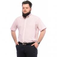 Рубашка , размер 58/XXL (170-178, 45 ворот), розовый Imperator