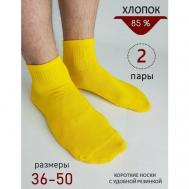 Носки  унисекс , 2 пары, размер 39-41, желтый Biz-one