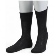 Мужские носки , 1 пара, классические, размер 25, черный Sergio di Calze