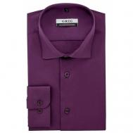 Рубашка , размер 174-184/43, фиолетовый Greg
