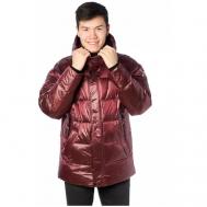 куртка  зимняя, силуэт прямой, размер 56, бордовый Shark Force