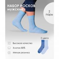 Мужские носки , 2 пары, высокие, усиленная пятка, размер 29 (44-46), синий, голубой Virtuoso