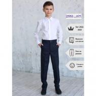 Школьные брюки , классический стиль, карманы, размер 152-72-69, синий Шанс