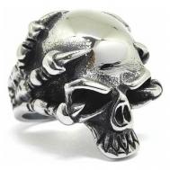 Кольцо нержавеющая сталь, размер 22, серебряный Нет бренда
