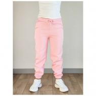 Брюки джоггеры  , свободный силуэт, спортивный стиль, утепленные, размер 46-50, розовый Aussie Wear