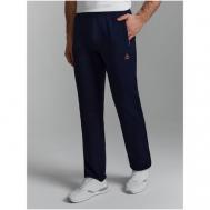 Спортивные брюки мужские 21M-RR-780  темно-синий Red-n-Rock's
