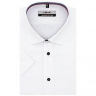 Рубашка , размер 174-184/39, белый Greg