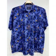Рубашка , размер 2XL(60), синий CASTELLI