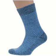 Мужские носки , 1 пара, размер 27-29 (43-45), синий RuSocks