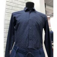 Рубашка , размер 41/176черный, синий Vester