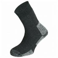 Мужские носки , 1 пара, размер 39-42, черный Сплав