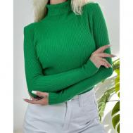 Водолазка, размер Универсальный 42-48, зеленый Beautiful woman