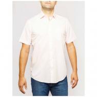 Рубашка , размер 41, розовый Pierre Cardin