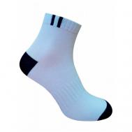 Мужские носки , 1 пара, классические, на 23 февраля, размер 29-31 (46-48), синий Gamma