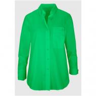 Рубашка  , повседневный стиль, длинный рукав, размер 46, зеленый Bianca