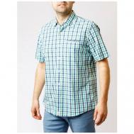 Рубашка , размер XL, зеленый Pierre Cardin