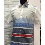 Рубашка , размер 41/182, белый, мультиколор Vester