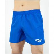 Волейбольные шорты , размер 52 RU - XL, синий RAY