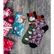 Мужские носки , 2 пары, классические, фантазийные, воздухопроницаемые, подарочная упаковка, на Новый год, размер 41-47, черный, бордовый Мастер Хлопка