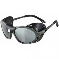Солнцезащитные очки , овальные, оправа: пластик, спортивные, с защитой от УФ, черный Alpina