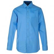 Школьная рубашка , прямой силуэт, на пуговицах, длинный рукав, манжеты, размер 122-128, голубой Tsarevich
