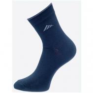 Мужские носки , 1 пара, классические, износостойкие, размер 41/43, синий Ростекс