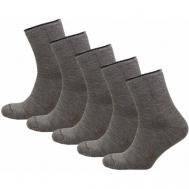 Мужские носки , 5 пар, классические, размер 29, бежевый Status