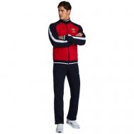 Костюм , олимпийка и брюки, силуэт прямой, карманы, подкладка, утепленный, размер 52, красный Addic