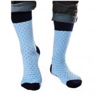 Мужские носки , 1 пара, высокие, размер 41-46, голубой, синий Tezido