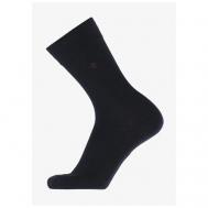 Мужские носки , 1 пара, классические, размер 31, черный Pantelemone