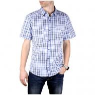 Рубашка , размер 48/L/170-178, голубой Маэстро