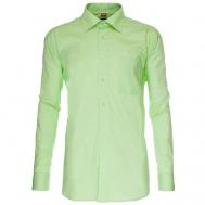 Рубашка мужская  Mineral Green, рос.р-р: 50/L (178-186, 41 ворот) Imperator