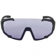 Солнцезащитные очки , квадратные, оправа: пластик, спортивные, зеркальные, с защитой от УФ, фотохромные, поляризационные, черный Alpina