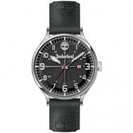 Наручные часы  Наручные часы  TDWGB2103104, черный, серебряный Timberland
