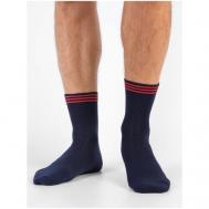 Мужские носки , 1 пара, классические, размер 27, синий Красная Ветка