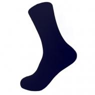Носки , размер 25, синий NAITIS