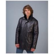 Кожаная куртка , демисезон/зима, силуэт прямой, подкладка, внутренний карман, карманы, манжеты, размер 52, черный Torras