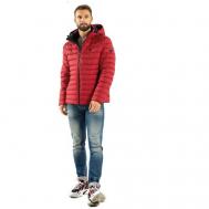 Куртка , демисезон/зима, силуэт прямой, подкладка, внутренний карман, капюшон, карманы, манжеты, размер 62, красный NortFolk